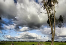 678体育:中美其实早就想打了,只碍于双方对于战争的形势没有达成统一意见.