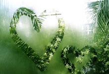 678体育官网:20-21賽季意甲聯賽第10輪比賽集錦.