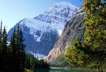 聯賽杯半決賽次回合阿森納0-2利物浦 阿諾德兩送助攻助若塔梅開二度.