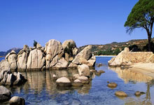 678体育:2022世界杯突尼西亞簡介.